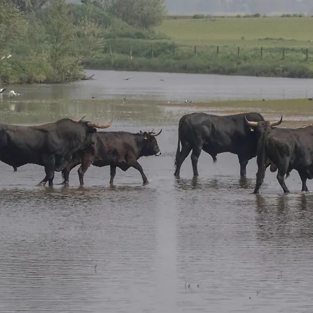Grazelands - Overnachten Midden In De Prázdninový dům Keent