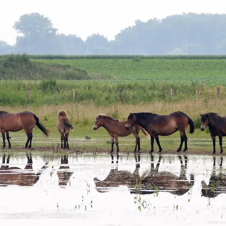 بيت للعطل Grazelands - Overnachten Midden In De