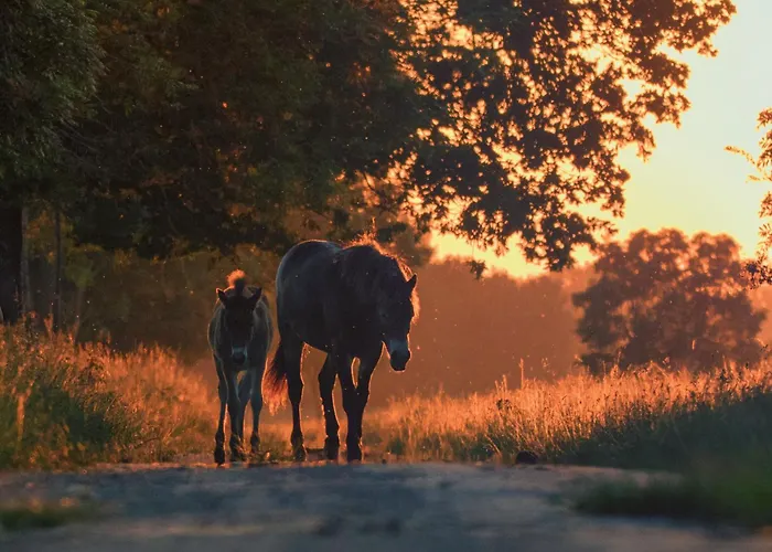 Grazelands - Overnachten Midden In De Prázdninový dům