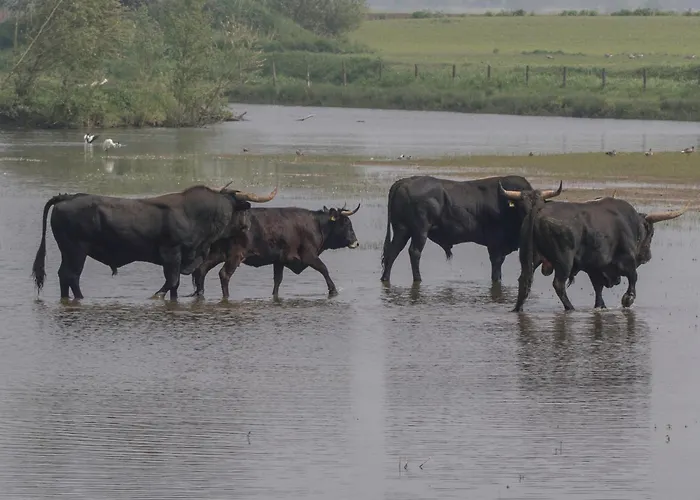 Grazelands - Overnachten Midden In De Дом отдыха Keent